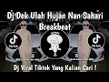 Download Lagu DJ DEK ULAH HUJAN NAN SAHARI | DJ BASARAH KA GARIH TANGAN BREAKBEAT VIRAL TIKTOK TERBARU 2024 !