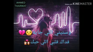 حالات واتس   حبيبي فداك انا   دندنها