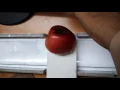 Fruit sorting using digital image processing