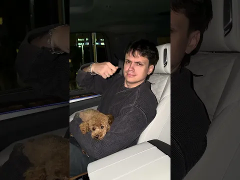 Любишь собак = лайк 😱