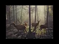 The Tallest Man On Earth - The Dreamer