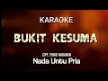 Download Lagu Bukit kesuma karaoke || Nada untuk pria || Cipt. Eriko Nababan || Karaoke lagu batak bukit kesuma