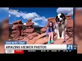 Good News Friday Amazing KKTV 11 News viewer photos