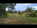 Download Lagu Sitio de 26 alqueires em Minaçu Goiás,valor 52 mil por alqueires!