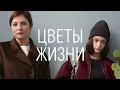 Download Lagu Сериал Цветы жизни (2024) - ВСЕ СЕРИИ ПОДРЯД - Драма, Комедия