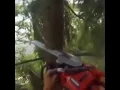 Download Lagu fly tree