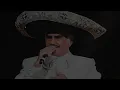 Vicente Fernández – Sublime mujer | Letra