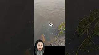 الدوامة فى البحر  الدوامة فى البحر