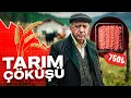 Lagu İNSANLARI AÇ BIRAKACAK KRİZ! 🔥