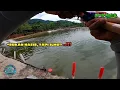 Download Lagu RAMAI TAK PERCAYA ❗ 3 EKOR DALAM 15 MINIT ❗ || VLOG 83