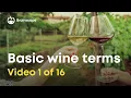 10 Basic wine terms you should know