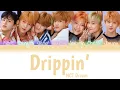 NCT Dream - Drippin' (Eng/Rom/Han) Color Coded Lyrics