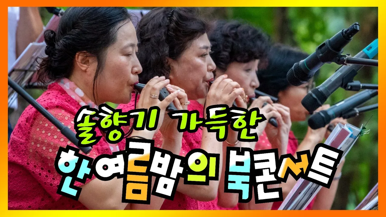 솔향기 가득한 한여름밤의 북콘서트, 영동 송호관광지 솔밭공원 サムネイル