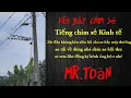 Tiếng chim sẻ kinh tế bẫy máy thường.20s đầu im để ae gác xào.ae tải về dùng nhé chúc ae bội thu