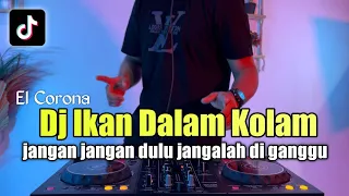 dj ikan di dalam kolam remix jangan jangan dulu janganlah diganggu tiktok