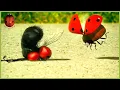Lagu The Ladybug 🐞 Minuscule 🍃 60' Compilation