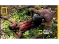 Scarification National Geographic