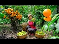 Full Harvesting orange Goes To Market Sell Harvest Farm Cooking Tieu Lien