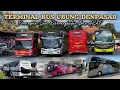 Download Lagu Perdana Hunting Bus Terminal Ubung Denpasar‼️Ada Bus Apa Saja Ya?? 