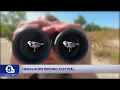 Headlands Birding Festival soars into Lake County