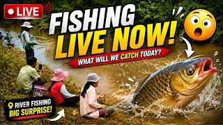 Fishing Season | Traditional Fishing with Bamboo Fishing rod