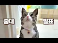 Download Lagu 삼진제약 게보린 담당자님을 만났습니다 꿈같은 일이 벌어졌어요ㅠ (게보린 엠버서더 그 후)