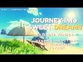 Download Lagu The Shimmering Voyage - Journey Into Sweet Dreams Extended - Genshin Impact OST