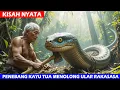 KISAH NYATA PENEBANG KAYU TUA DAN MUSTIKA ULAR RAKSASA PEMBERI KEKAYAAN TANPA BATAS KisahPenuh Makna