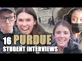 16 Students Say Why They Chose Purdue University Purdue Student Interviews