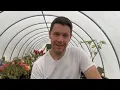 How to Make Hybrid Plants | Rhododendron Propagation through Cross Pollination