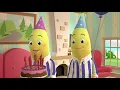 Download Lagu The Birthdays   Animated Episode   Bananas in Pyjamas Official   YouTube