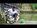 Download Lagu Ngeri ngeri Sedap Mancing ikan Nila di Spot ini dapat Banyak Babon Bikin jiwa Pemancing Meronta