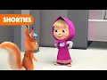 Download Lagu Masha and the Bear Shorties 👧🐻 NEW STORY ✈️🛄 Airport (Episode 4) ✈️🛄 Masha and the Bear 2022