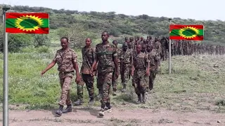 Dubii Jajjabduu Yerro Amma Dema Jirrtu November 1 2025 