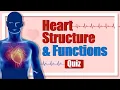 Heart Structure Functions Quiz Human Circulatory System Quiz - Heart Chambers Valves Vessels