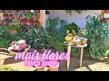 Download Lagu FLORES PARA O JARDIM 🌸 PLANTEI NOS VASOS MAIORES E COMO ESTÃO AS PLANTAS...