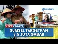Download Lagu Pertahankan 5 Besar, Sumatera Selatan Targetkan 3,5 Juta Ton Gabah Kering saat Panen pada 2025
