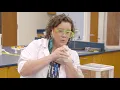 Harper Virtual Tour - Chemistry Lab With English Captions
