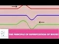 THE PRINCIPLE OF SUPERPOSITION OF WAVES - PART 01
