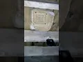 Suara tarik walet ,tarik AKAU