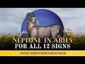 Neptune in Aries What to Expect Worldwide for Your Zodiac Sign