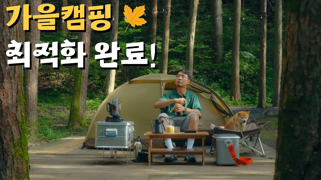 가을캠핑 최적화완료! , 낭만가득 캠핑다녀왔습니다 🍂 サムネイル