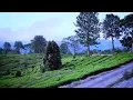 Download Lagu MP3 POP MANDARIN INDONESIA asik full MUSIK