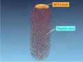 Chemotaxis Molecular Events