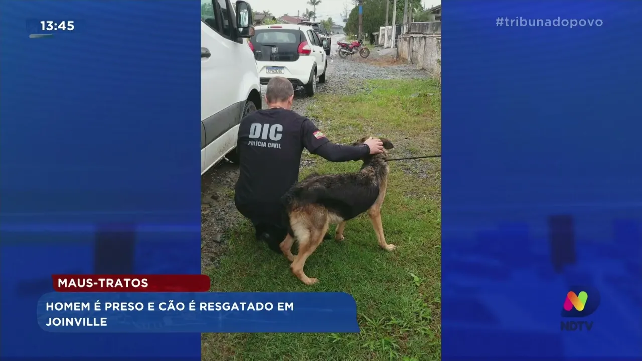 Maus tratos: homem é preso e cão é resgatado em Joinville