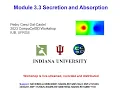 CC3D WS Module 3 3 Secretion Adsorption Pedro Castel August 3 2023