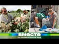Download Lagu Талибы запретили выращивать опийный мак. Европу ждут катастрофические последствия