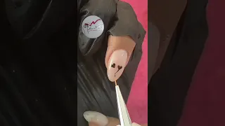 فن الرسم على الاظافر ساره نيلز الاظافر 