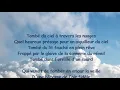 Tombé du Ciel  -  Jacques Higelin   (Paroles)
