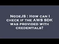 NodeJS How can I check if the AWS SDK was provided with credentials